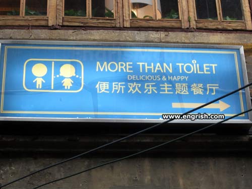 more-than-toilet.jpg